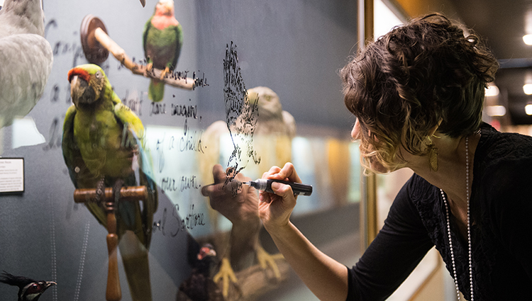 Ashley Cecil draws and writes on the glass of taxidermy cases in Bird Hall at the Carnegie Museum of Natural History.