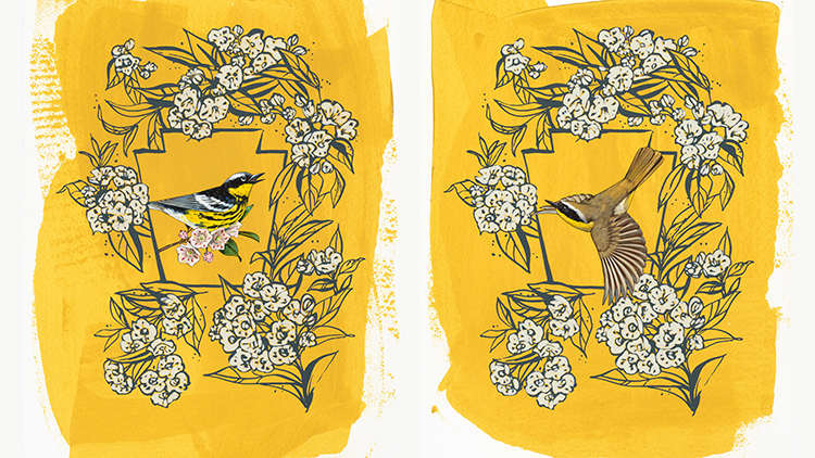 Mixed media paintings of a Magnolia Warbler and Common Yellowthroat by Pittsburgh artist Ashley Cecil 2016
