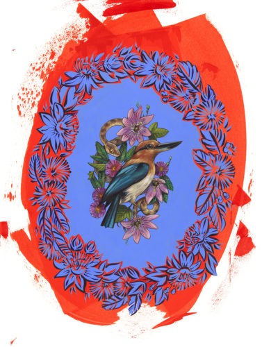 Female Guam Kingfisher on Red by Ashley Cecil