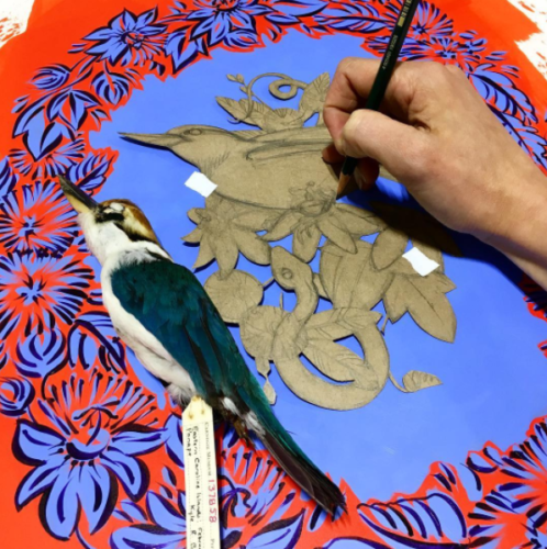 painting of a Guam Kingfisher in progress by Ashley Cecil