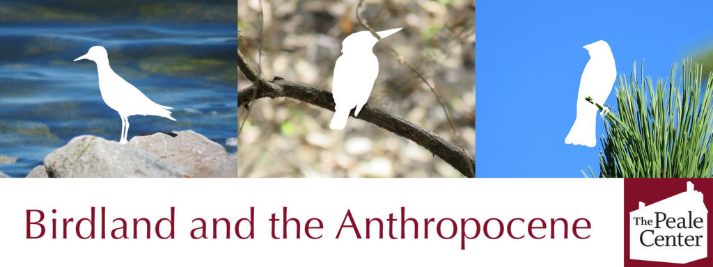 Birdland and the Anthropocene at the Peale Center