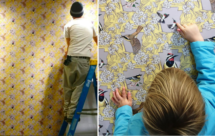 Wallpaper designed by artist Ashley Cecil installed at Phipps