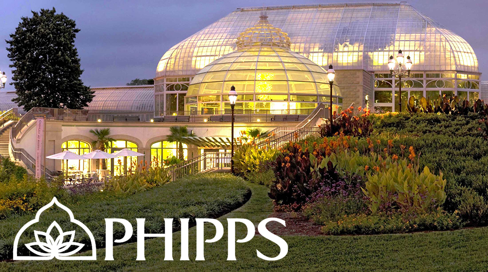 Artist Ashley Cecil starts an artist residency at Phipps