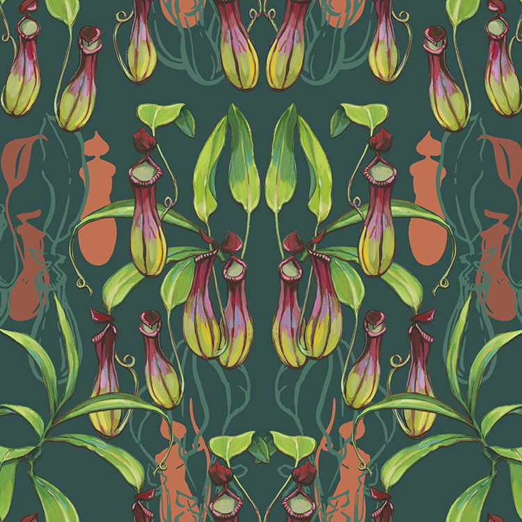 Surface pattern of pitcher plants by artist Ashley Cecil